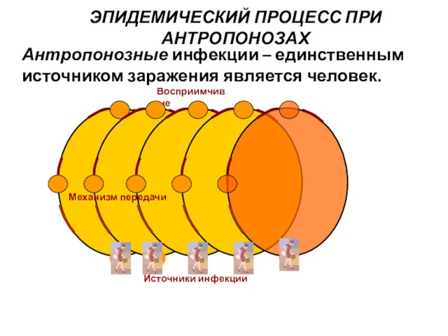 ЭПИДЕМИЧЕСКИЙ ПРОЦЕСС ПРИ АНТРОПОНОЗАХ Восприимчивые Источники инфекции Механизм передачи Антропонозные инфекции – единственным