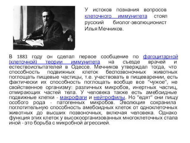 В 1883 году он сделал первое сообщение по фагоцитарной (клеточной) теории иммунитета на