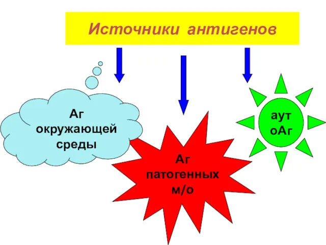 Источники антигенов Аг патогенных м/о аутоАг Аг окружающей среды