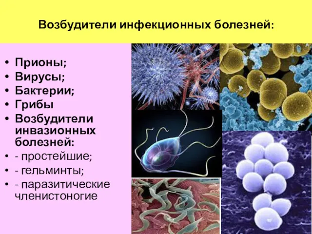 Возбудители инфекционных болезней: Прионы; Вирусы; Бактерии; Грибы Возбудители инвазионных болезней: