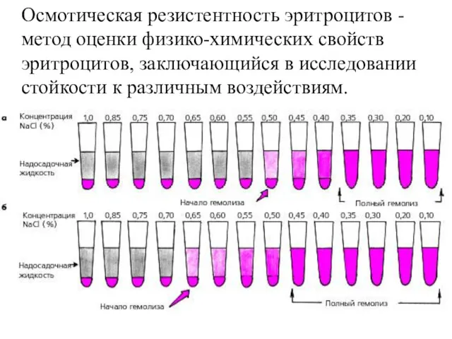 Осмотическая резистентность эритроцитов - метод оценки физико-химических свойств эритроцитов, заключающийся в исследовании стойкости к различным воздействиям.