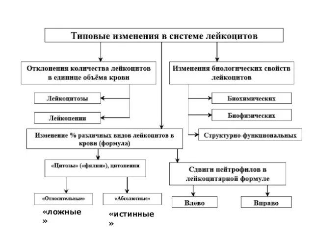 «ложные» «истинные»