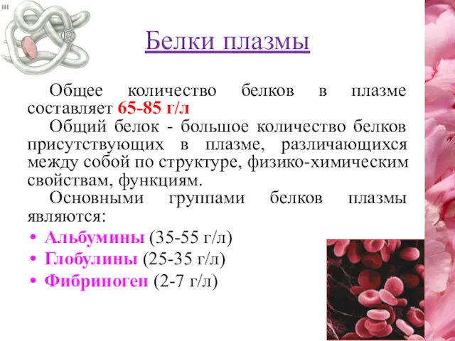 Белки плазмы Общее количество белков в плазме составляет 65-85 г/л