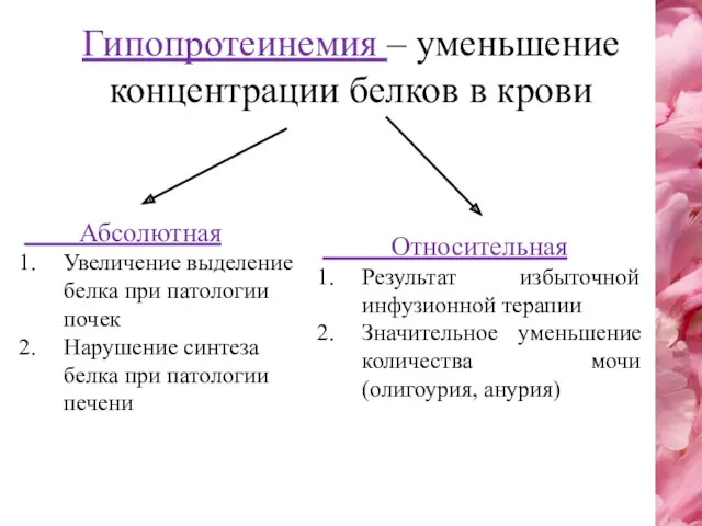 Гипопротеинемия – уменьшение концентрации белков в крови Абсолютная Увеличение выделение