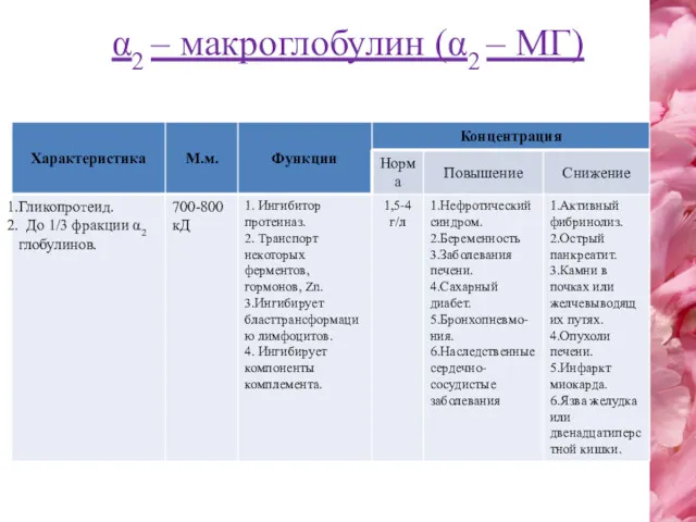 α2 – макроглобулин (α2 – МГ)