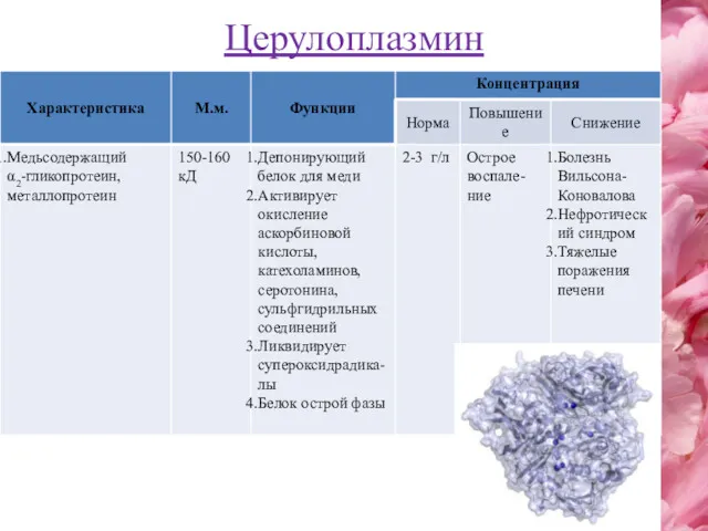 Церулоплазмин