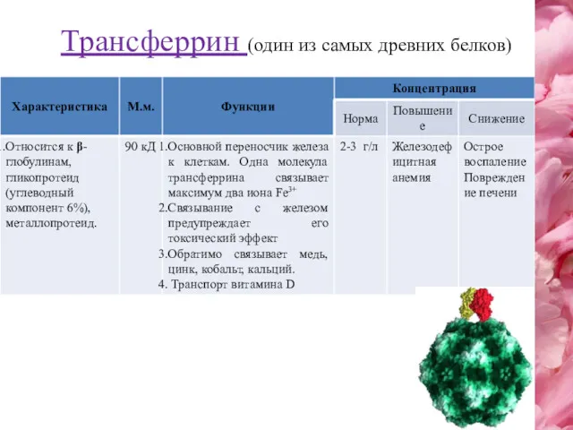 Трансферрин (один из самых древних белков)