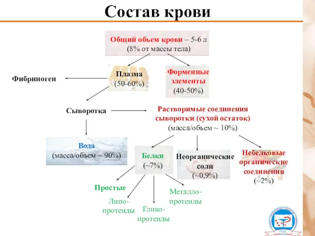 Состав крови Растворимые соединения сыворотки (сухой остаток) (масса/объем ~ 10%) Сыворотка Фибриноген Простые Глико-протеиды Металло-протеиды Липо-протеиды