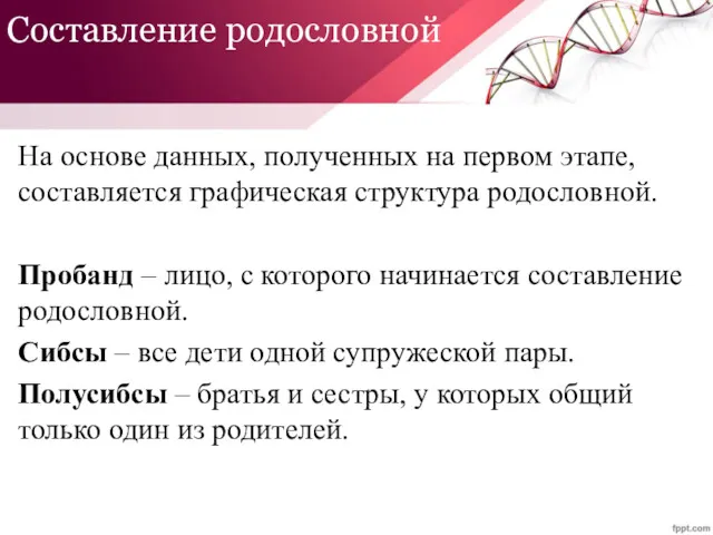 Составление родословной На основе данных, полученных на первом этапе, составляется