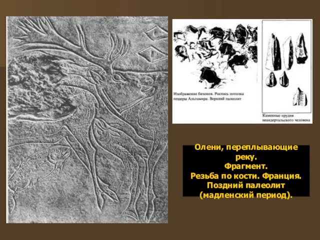 Олени, переплывающие реку. Фрагмент. Резьба по кости. Франция. Поздний палеолит (мадленский период).