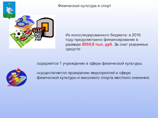 Физическая культура и спорт содержится 1 учреждение в сфере физической