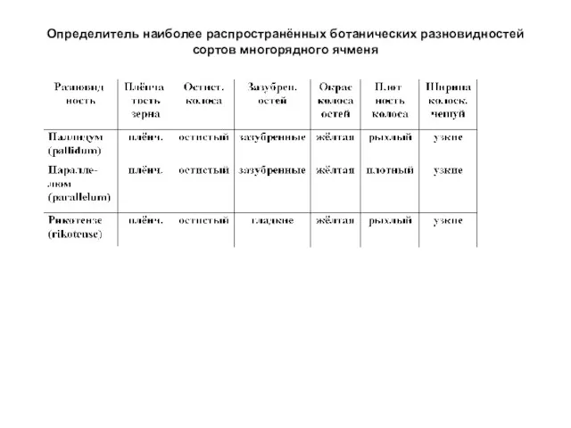 Определитель наиболее распространённых ботанических разновидностей сортов многорядного ячменя