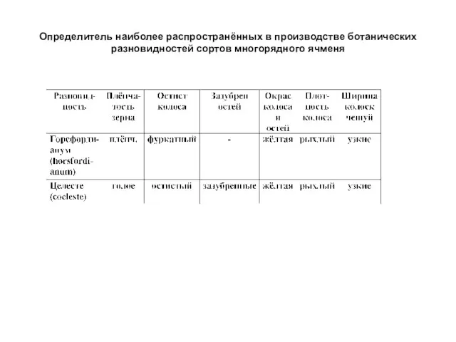 Определитель наиболее распространённых в производстве ботанических разновидностей сортов многорядного ячменя