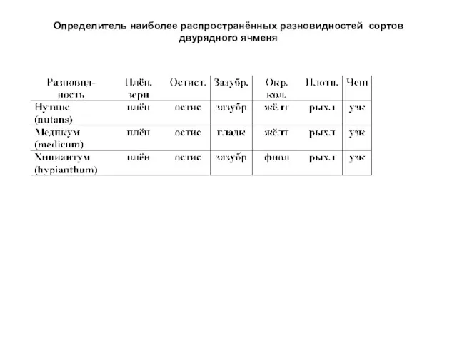 Определитель наиболее распространённых разновидностей сортов двурядного ячменя