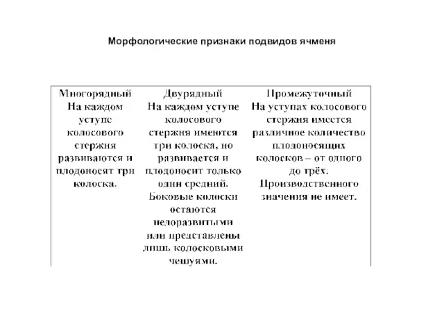 Морфологические признаки подвидов ячменя