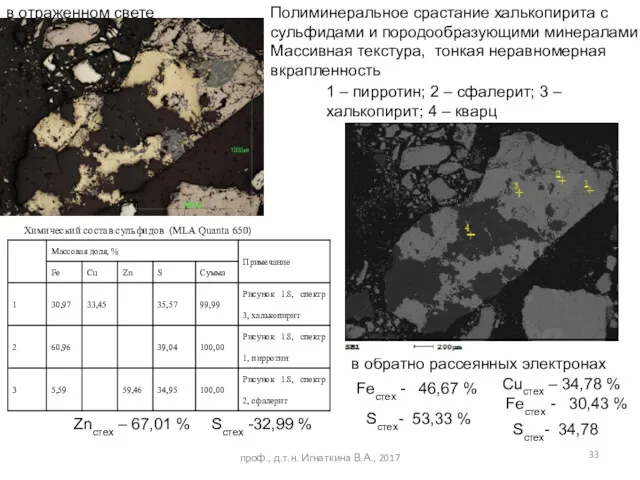 проф., д.т.н. Игнаткина В.А., 2017 Полиминеральное срастание халькопирита с сульфидами