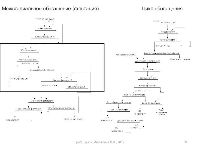 проф., д.т.н. Игнаткина В.А., 2017 Межстадиальное обогащение (флотация) Цикл обогащения