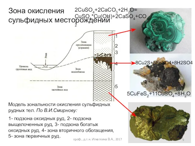 Зона окисления сульфидных месторождений Модель зональности окисления сульфидных рудных тел.