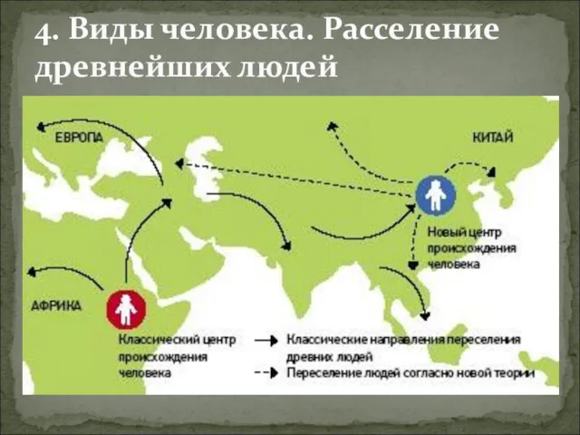 4. Виды человека. Расселение древнейших людей