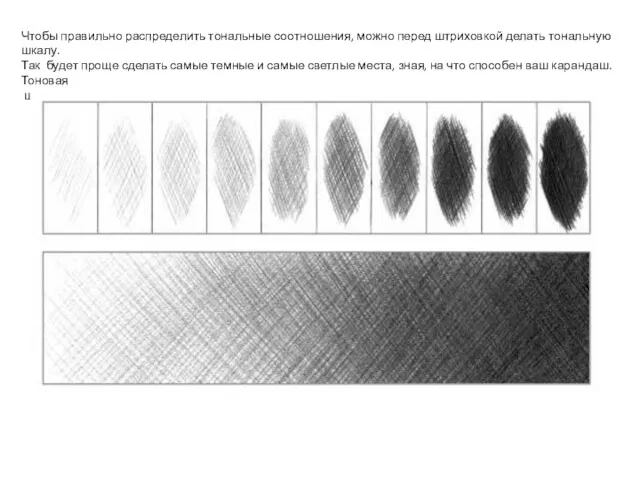 Чтобы правильно распределить тональные соотношения, можно перед штриховкой делать тональную