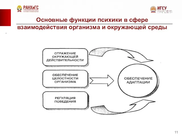 Основные функции психики в сфере взаимодействия организма и окружающей среды .