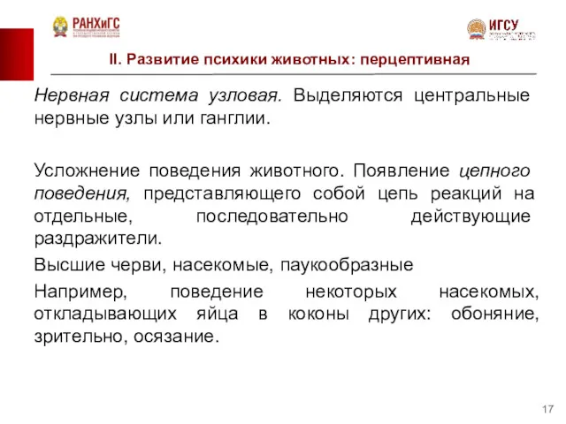 II. Развитие психики животных: перцептивная Нерв­ная система узловая. Выделяются центральные