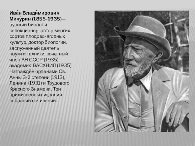 Ива́н Влади́мирович Мичу́рин (1855-1935)— русский биолог и селекционер, автор многих