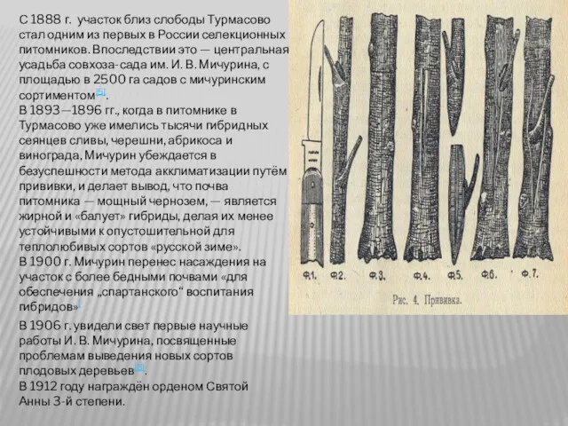 С 1888 г. участок близ слободы Турмасово стал одним из