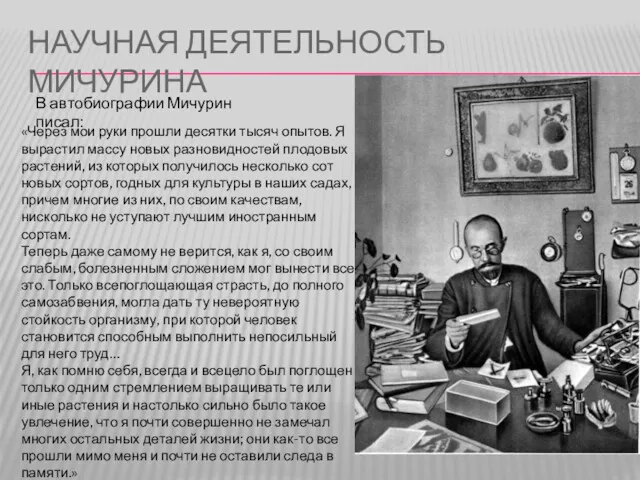 НАУЧНАЯ ДЕЯТЕЛЬНОСТЬ МИЧУРИНА «Через мои руки прошли десятки тысяч опытов.