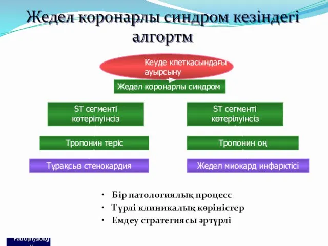 Жедел коронарлы синдром кезіндегі алгортм Бір патологиялық процесс Түрлі клиникалық