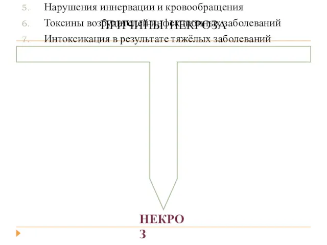 ПРИЧИНЫ НЕКРОЗА Механические факторы (травма) Температурные факторы (ожоги и отморожения)