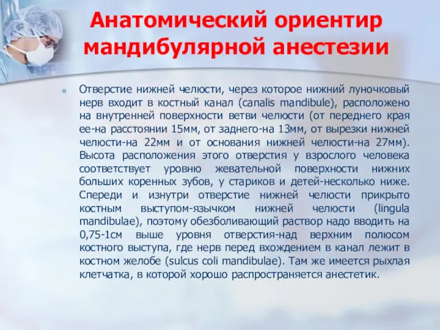 Анатомический ориентир мандибулярной анестезии Отверстие нижней челюсти, через которое нижний