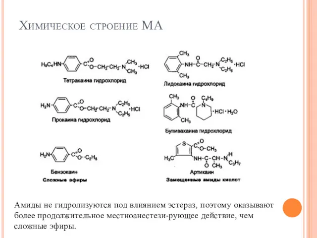 Химическое строение МА Амиды не гидролизуются под влиянием эстераз, поэтому