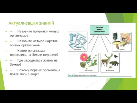 Актуализация знаний — Назовите признаки живых организмов. — Назовите четыре