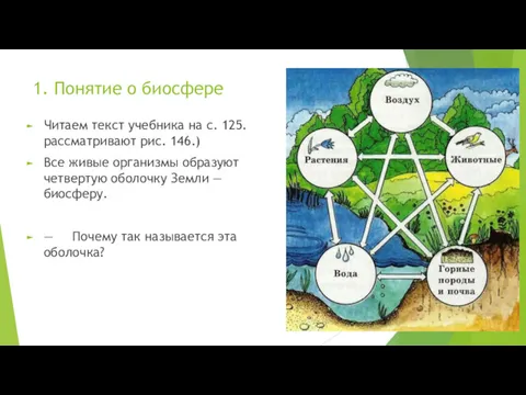 1. Понятие о биосфере Читаем текст учебника на с. 125.