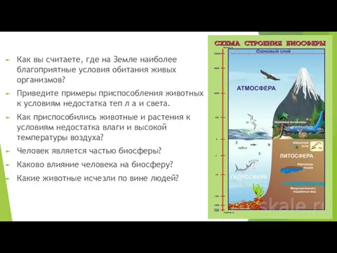 Как вы считаете, где на Земле наиболее благоприятные условия обитания