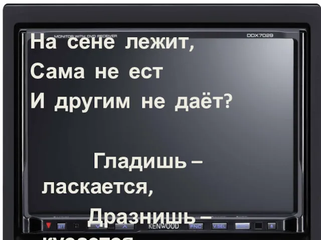 На сене лежит, Сама не ест И другим не даёт? Гладишь – ласкается, Дразнишь – кусается.