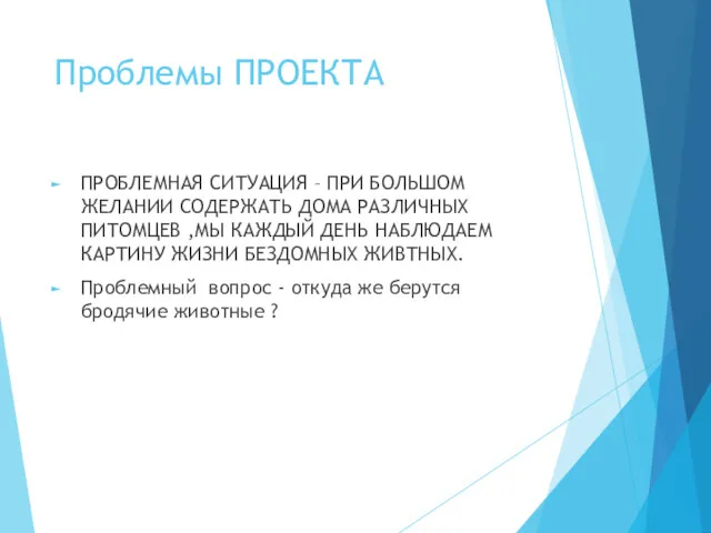 Проблемы ПРОЕКТА ПРОБЛЕМНАЯ СИТУАЦИЯ – ПРИ БОЛЬШОМ ЖЕЛАНИИ СОДЕРЖАТЬ ДОМА