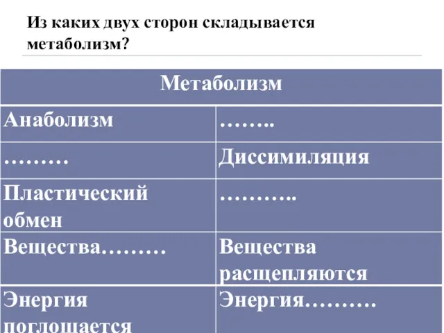 Из каких двух сторон складывается метаболизм?