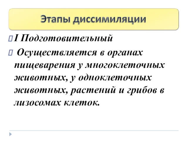 I Подготовительный Осуществляется в органах пищеварения у многоклеточных животных, у