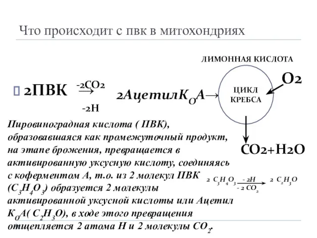 Что происходит с пвк в митохондриях 2ПВК → -2СО2 -2Н