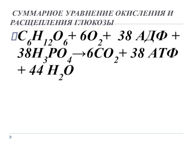 СУММАРНОЕ УРАВНЕНИЕ ОКИСЛЕНИЯ И РАСЩЕПЛЕНИЯ ГЛЮКОЗЫ С6Н12О6+ 6О2+ 38 АДФ