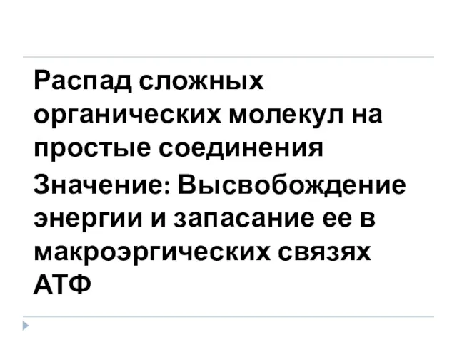 Распад сложных органических молекул на простые соединения Значение: Высвобождение энергии