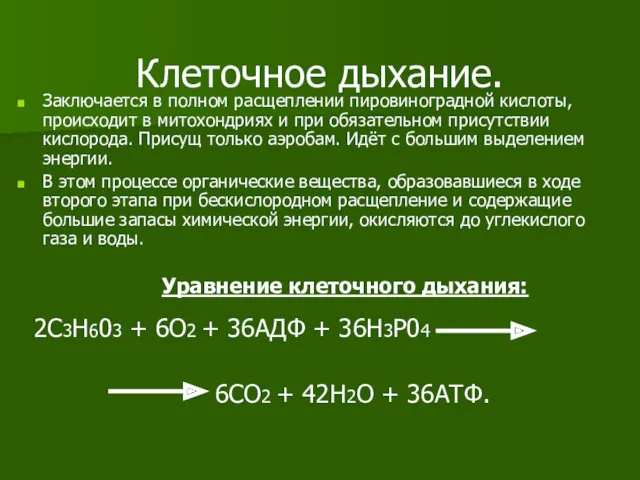 Клеточное дыхание. Заключается в полном расщеплении пировиноградной кислоты, происходит в