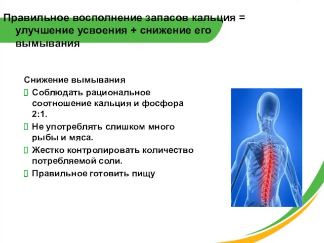 Правильное восполнение запасов кальция = улучшение усвоения + снижение его