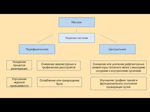 Массаж Периферическая Снижение или усиление рефлекторных связей коры головного мозга