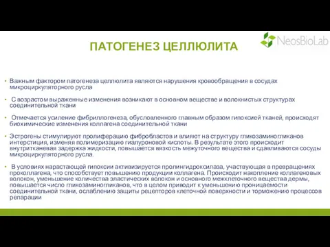 ПАТОГЕНЕЗ ЦЕЛЛЮЛИТА Важным фактором патогенеза целлюлита являются нарушения кровообращения в