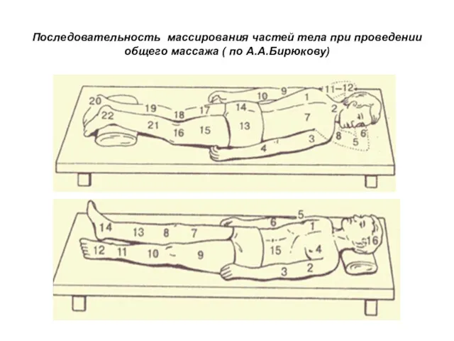 Последовательность массирования частей тела при проведении общего массажа ( по А.А.Бирюкову)
