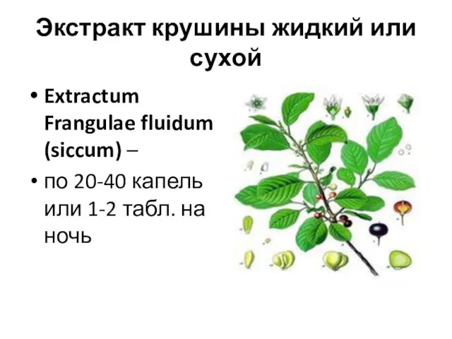 Экстракт крушины жидкий или сухой Extractum Frangulae fluidum (siccum) –
