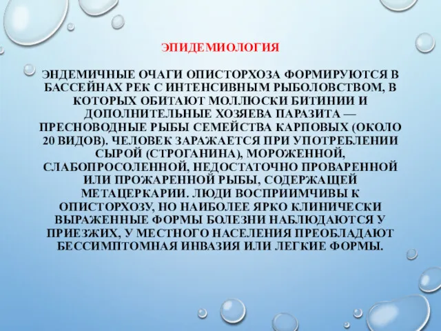 ЭПИДЕМИОЛОГИЯ ЭНДЕМИЧНЫЕ ОЧАГИ ОПИСТОРХОЗА ФОРМИРУЮТСЯ В БАССЕЙНАХ РЕК С ИНТЕНСИВНЫМ РЫБОЛОВСТВОМ, В КОТОРЫХ